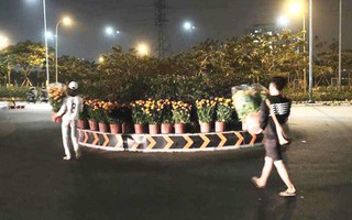 Câu chuyện đáng yêu về hai vợ chồng “dịu dàng giữa thịnh nộ”: Mang hoa ế 30 Tết trang trí cho vòng xoay ở Sài Gòn