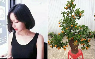 Cô nàng 27 tuổi dẫn người yêu về ra mắt dịp Tết, ép biếu nhà mình cây cảnh, giỏ quà Tết khiến chị em tranh cãi