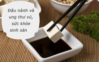 2 hiểu lầm về đậu nành liên quan đến ung thư vú và khả năng sinh sản chị em cần nhận ra càng sớm càng tốt