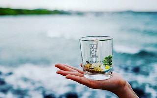 Tha hồ ngắm biển và check-in sống ảo giống hệt phim Hàn với 6 quán cafe siêu hot tại đảo Jeju (Hàn Quốc)
