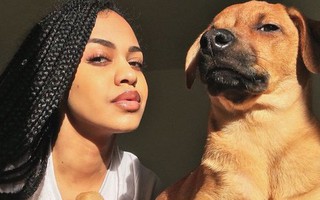 Trào lưu "chủ nào chó nấy" bất ngờ gây sốt trên Twitter vì quá dễ thương