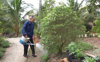 Hi hữu cụ ông sáng mắt, hết câm sau 20 năm bất hạnh