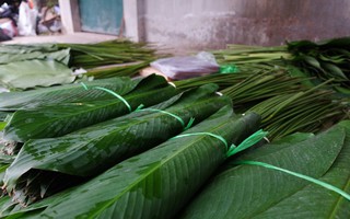 Ảnh: Làng lá dong lâu đời nhất Hà Nội tất bật vào vụ Tết