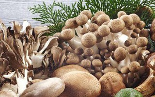 Tăng cường bổ sung các loại thực phẩm giàu vitamin B2 để thúc đẩy quá trình trao đổi chất trong cơ thể