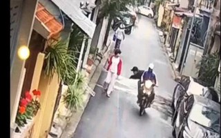 Hà Nội: Phẫn nộ cảnh hai thanh niên trộm chó táo tợn còn kéo lê người phụ nữ trung tuổi ngã lăn ra đường