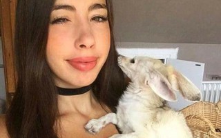 Cuồng ăn chay, nữ blogger ép cả chú cáo mình nuôi không được ăn thịt và bị cộng đồng mạng chỉ trích dữ dội