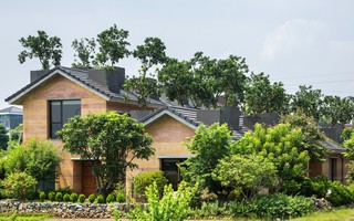 Ngôi nhà không đổ cột bê tông với vườn bưởi trĩu quả trên mái nhà ở Hà Nội