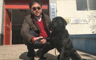 Chó dẫn đường của người đàn ông mù bị bắt trộm, một ngày sau con vật bất ngờ quay về nhà với thứ này trên cổ