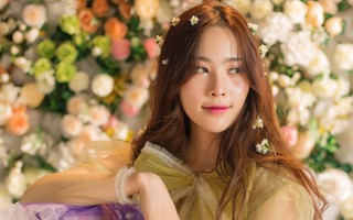 Giữa cú sốc Trường Giang, Nam Em quyết định dừng đăng tải MV, xin lỗi khán giả
