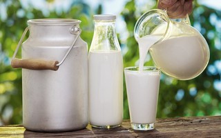 Sữa dê: Những lợi ích sức khỏe và làm đẹp siêu tốt không nên bỏ qua