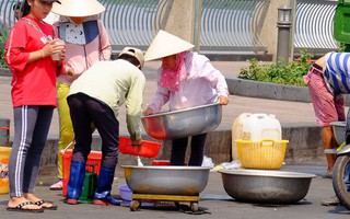 Mang cả xe đẩy đi bán cá phóng sinh, tiểu thương hốt bạc tại lễ hội Rằm tháng Giêng