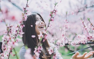Đây chính là 5 con giáp có phúc khí dồi dào nhất năm Mậu Tuất 2018