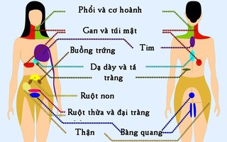9 vị trí nếu thấy đau thì bạn nên cẩn trọng và đi khám càng sớm càng tốt