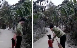 Clip: Có con boss đảm đang, sai gì làm nấy như thế này thì sen mát ruột phải biết!