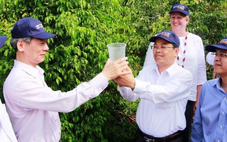 Lần đầu tiên tại Việt Nam, hàng trăm gia đình ở đất liền chấp nhận thả muỗi vằn mang vi khuẩn để… ngăn ngừa dịch bệnh