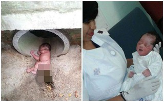 Hình ảnh gây sốc về bé sơ sinh bị bỏ rơi giữa đàn kiến lửa, dưới ống thoát nước