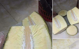 Vì cuộc đời là những dối lừa: Anh chàng đi mua mít chiều bạn gái, tưởng mua được mít không hạt giá hời ai ngờ toàn xơ
