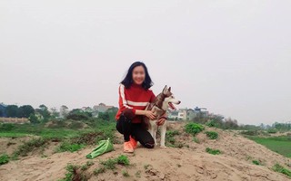 Vừa quen được 1 tháng, cô gái đã bị bạn trai bắt trộm cả 4 chú chó cưng Husky, nhắn tin đòi thì bị dọa tung clip nóng