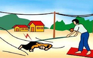 Bị điện giật phải sơ cứu thế nào mới đúng cách, tránh biến chứng tàn phế?