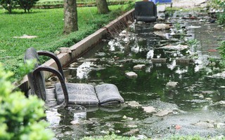 Người dân chung cư N6 Đồng Tàu khốn khổ khi sống chung với nước thải bể phốt vì vỡ đường ống