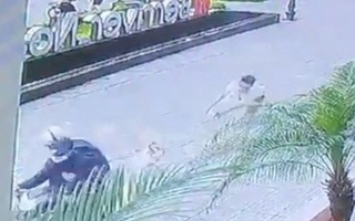 Hà Nội: Kẻ gian cướp chó ngay trước sảnh chung cư, chủ bị kéo lê hàng chục mét