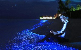 Những "kỳ quan" thiên nhiên kỳ ảo đến mức phải chứng kiến tận mắt mới tin nổi chúng là thật