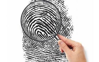 Hình dáng vân tay ngón trỏ nói gì về chuyện tình yêu của bạn?