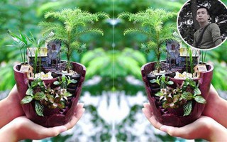 Vườn sen đá đẹp ngất ngây của chàng trai Hà Nội dành cả tuổi thanh xuân cho niềm đam mê của mình