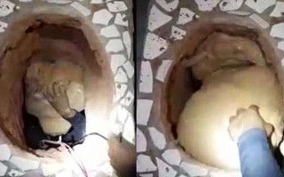 Đào hầm vượt ngục ngay bên dưới hố xí, tù nhân chưa kịp thấy tự do đã chết ngạt