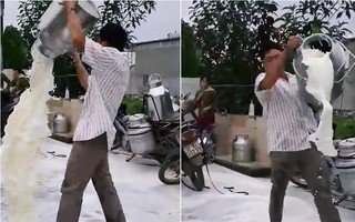 Chính quyền và nhà máy sữa Nghệ An nói gì vụ người nông dân tức giận đổ sữa trắng xóa mặt đường?