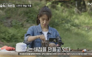 Park Shin Hye làm tổ cho chim trước khi rời "Căn nhà gỗ"