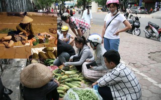 Người dân Hà Nội tìm đến mua ủng hộ bà cụ bán rau củ xuyên đêm ở vỉa hè để có tiền đóng học cho cháu
