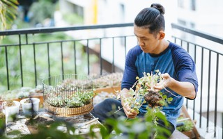 Chàng họa sĩ 9x độc thân ở Sài Gòn với thú vui làm tiểu cảnh Terrarium khiến vạn người mê