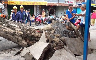 Hiện trường cây cổ thụ “khủng” đè sập nhà dân ở TP. HCM