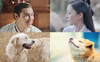 Khi trở thành thú cưng, dàn sao "Phù Dao" khiến fan lịm tim bởi khoảnh khắc này
