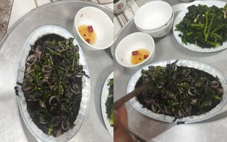 Chồng xắn tay vào bếp làm mực xào thiên lý, lên mâm vợ nhanh tay chụp ảnh, còn hỏi "liệu ăn có chết người không"