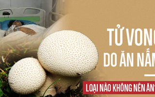 3 mẹ con nguy kịch, tử vong do ăn nấm: Cảnh báo những loại nấm có độc tuyệt đối không ăn