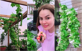 Khu vườn trên sân thượng của biệt thự rộng hơn nghìn m² ngập tràn rau quả do một tay hoa hậu Quý bà Phương Lê chăm bón
