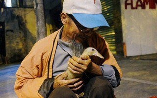 Câu chuyện đáng yêu về chú vịt con lon ton theo sau ông lão vé số ở Sài Gòn: "Từ ngày con 'quỷ sứ' này chạy theo, ông thấy vui hơn nhiều"