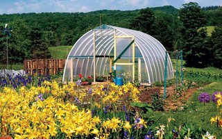 Nhà kính trồng rau, nghe thì tưởng bình thường nhưng hóa ra lại đẹp không tưởng