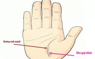 Lòng bàn tay nói lên vận mệnh tương lai, cuộc sống của bạn có giàu sang phú quý hay không chỉ cần nhìn vào đây là thấy rõ
