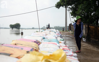 Hà Nội: Hàng nghìn hộ dân thở phào khi đê Bùi, Chương Mỹ tạm thời được gia cố an toàn
