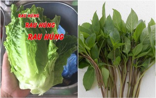 Nhờ chồng mua rau húng nhưng lại xách về rau xà lách, vợ đăng đàn “tố” nào ngờ hội chị em phán câu này