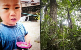 Bé trai Nhật vừa tròn 2 tuổi đi lạc trong rừng suốt 3 ngày và được phát hiện sống sót kỳ diệu nhờ cách sinh tồn này