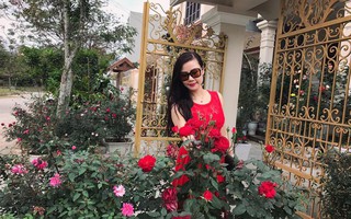 Khoảng sân nhỏ nhưng có những chậu hồng sai hoa, đẹp ngất ngây của mẹ hai con ở Hòa Bình