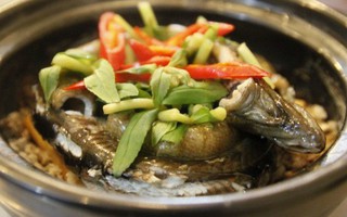 Nhiều người ăn thịt lươn mà không biết rằng nó là "sâm động vật" - trong Đông y là thuốc quý như vàng nhờ những công dụng này