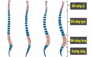 Hình ảnh này sẽ trả lời cho câu hỏi có nên dùng gối cho trẻ sơ sinh hay không?