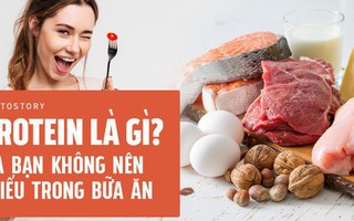 Protein là gì mà bạn không thể thiếu nó trong bữa ăn của mình