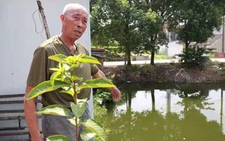 Cụ ông 80 tuổi cứu cậu bé bị đuối nước rồi phát hiện 30 năm trước cũng chính ông đã cứu bố của đứa trẻ