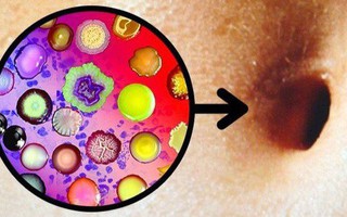 BS khuyên: 4 bộ phận trên cơ thể không nên vệ sinh quá sạch sẽ, nhiều người đang làm ngược